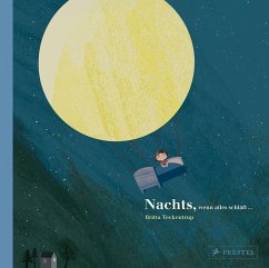 Nachts, wenn alles schläft ... - Teckentrup, Britta