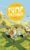Fünf Freunde als Retter in der Not / Fünf Freunde Bd.11