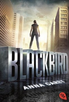 Blackbird Bd.1 - Carey, Anna