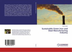Sustainable Green Iron and Steel Manufacturing Industry