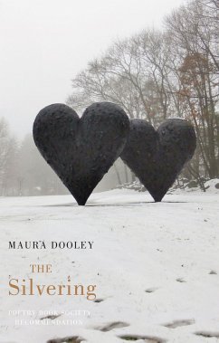 The Silvering - Dooley, Maura