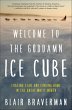 Welcome to the Goddamn Ice Cube (eBook,... - Bild 1