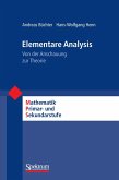 Elementare Analysis (eBook, PDF)