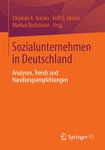 Sozialunternehmen in Deutschland (eBook, PDF)