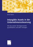 Intangible Assets in der Unternehmenssteuerung (eBook, PDF)