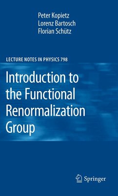 Introduction to the Functional Renormalization Group (eBook, PDF) - Kopietz, Peter; Bartosch, Lorenz; Schütz, Florian