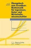 Übungsbuch zum Grundkurs Mathematik für Ingenieure, Natur- und Wirtschaftswissenschaftler (eBook, PDF)