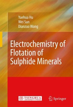 Electrochemistry of Flotation of Sulphide Minerals (eBook, PDF) - Hu, Yuehua; Sun, Wei; Wang, Dianzuo