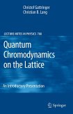 Quantum Chromodynamics on the Lattice (eBook, PDF)