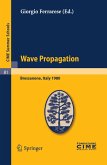Wave Propagation (eBook, PDF)