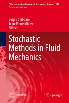 Stochastic Methods in Fluid Mechanics (eBook, PDF)