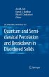 Quantum and Semi-classical Percolation... - Bild 1