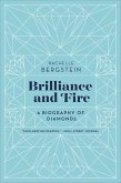 Brilliance and Fire (eBook, ePUB) Brilliance and Fire (eBook, ePUB)