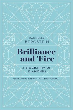 Cover Brilliance and Fire (eBook, ePUB)