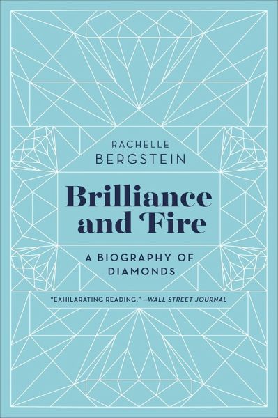 Brilliance and Fire (eBook, ePUB) Brilliance and Fire (eBook, ePUB)