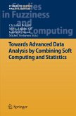 Towards Advanced Data Analysis by Combining Soft Computing and Statistics (eBook, PDF)