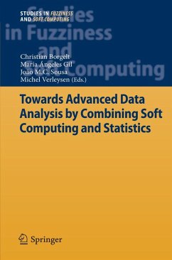 Towards Advanced Data Analysis by Combining Soft Computing and Statistics (eBook, PDF)