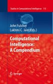 Computational Intelligence: A Compendium (eBook, PDF)