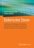 Elektrischer Strom (eBook, PDF)