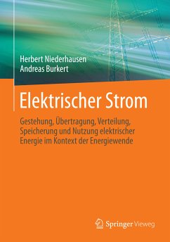 Elektrischer Strom (eBook, PDF) - Niederhausen, Herbert; Burkert, Andreas