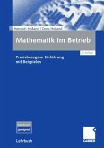 Mathematik im Betrieb (eBook, PDF)