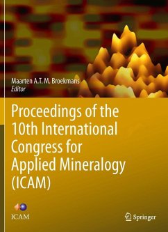 Proceedings of the 10th International Congress for Applied Mineralogy (ICAM) (eBook, PDF)