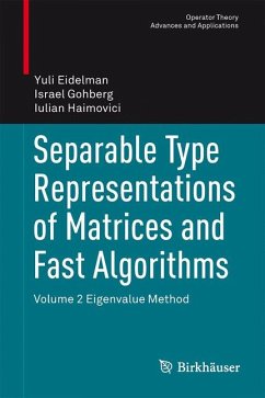 Separable Type Representations of Matrices and Fast Algorithms (eBook, PDF) - Eidelman, Yuli; Gohberg, Israel; Haimovici, Iulian