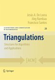 Triangulations (eBook, PDF)