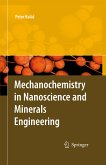 Mechanochemistry in Nanoscience and Minerals Engineering (eBook, PDF)
