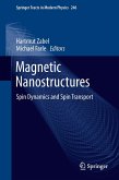 Magnetic Nanostructures (eBook, PDF)