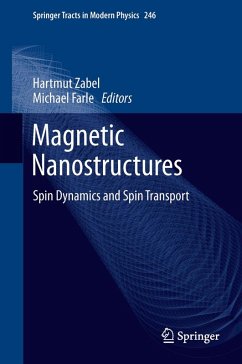 Cover Magnetic Nanostructures (eBook, PDF)