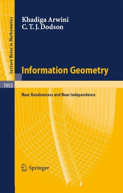 Information Geometry (eBook, PDF) - Arwini, Khadiga; Dodson, C. T. J.