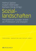 Soziallandschaften (eBook, PDF)