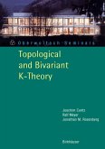 Topological and Bivariant K-Theory (eBook, PDF)