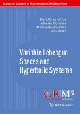Variable Lebesgue Spaces and Hyperbolic Systems (eBook, PDF)
