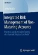 Integrated Risk Management of... - Bild 1