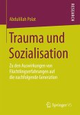 Trauma und Sozialisation (eBook, PDF)