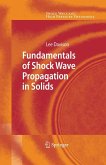 Fundamentals of Shock Wave Propagation in Solids (eBook, PDF)