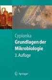 Grundlagen der Mikrobiologie (eBook, PDF)