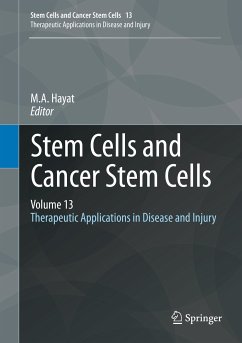 Stem Cells and Cancer Stem Cells, Volume 13 (eBook, PDF)