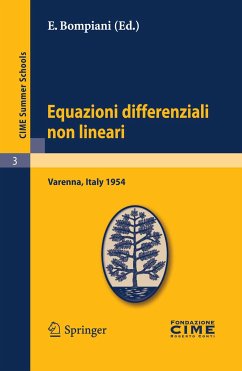 Equazioni differenziali non lineari (eBook, PDF)