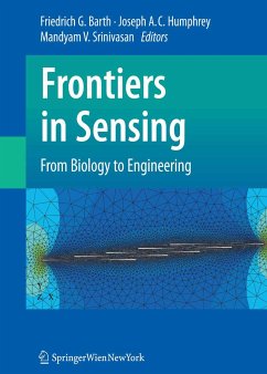 Frontiers in Sensing (eBook, PDF)