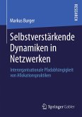 Selbstverstärkende Dynamiken in Netzwerken (eBook, PDF)