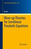 Blow-up Theories for Semilinear Parabolic Equations (eBook, PDF)