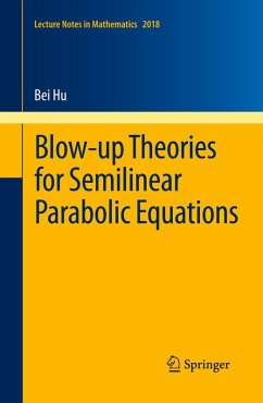 Cover Blow-up Theories for Semilinear Parabolic Equations (eBook, PDF)