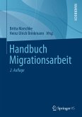 Handbuch Migrationsarbeit (eBook, PDF)