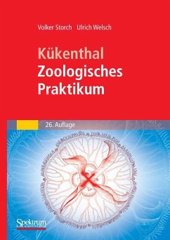 Kükenthal - Zoologisches Praktikum (eBook, PDF) - Storch, Volker; Welsch, Ulrich