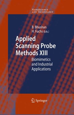 Applied Scanning Probe Methods XIII (eBook, PDF)