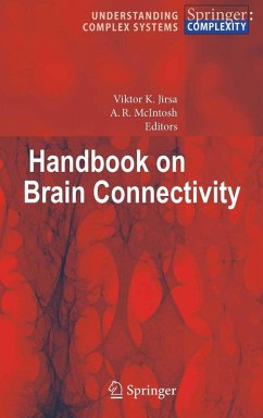 Handbook of Brain Connectivity (eBook, PDF)