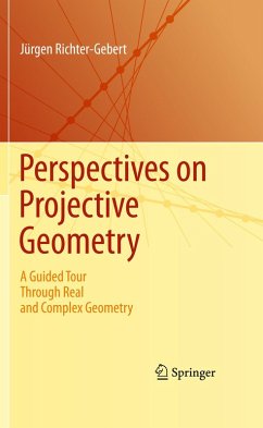 Perspectives on Projective Geometry (eBook, PDF) - Richter-Gebert, Jürgen